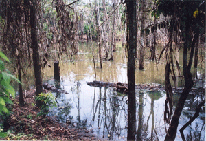 Kongo-2004-23